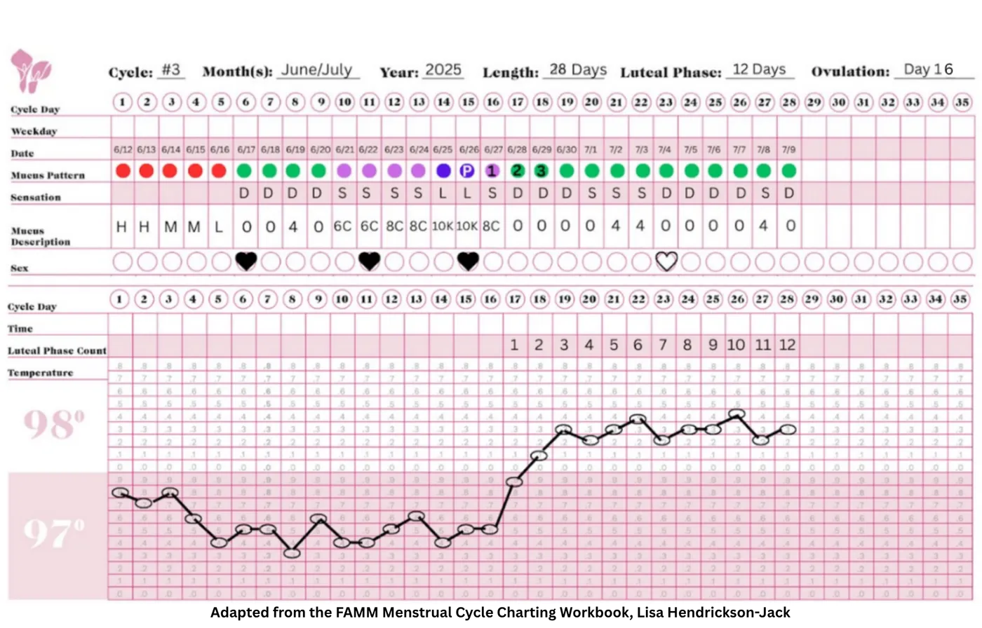 A completed fertility awareness chart showing mucus pattern, sensation, and daily basal body temperature across a 28-day cycle